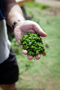 seremorphilippe_BD-71